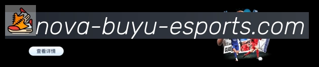 奖项证书